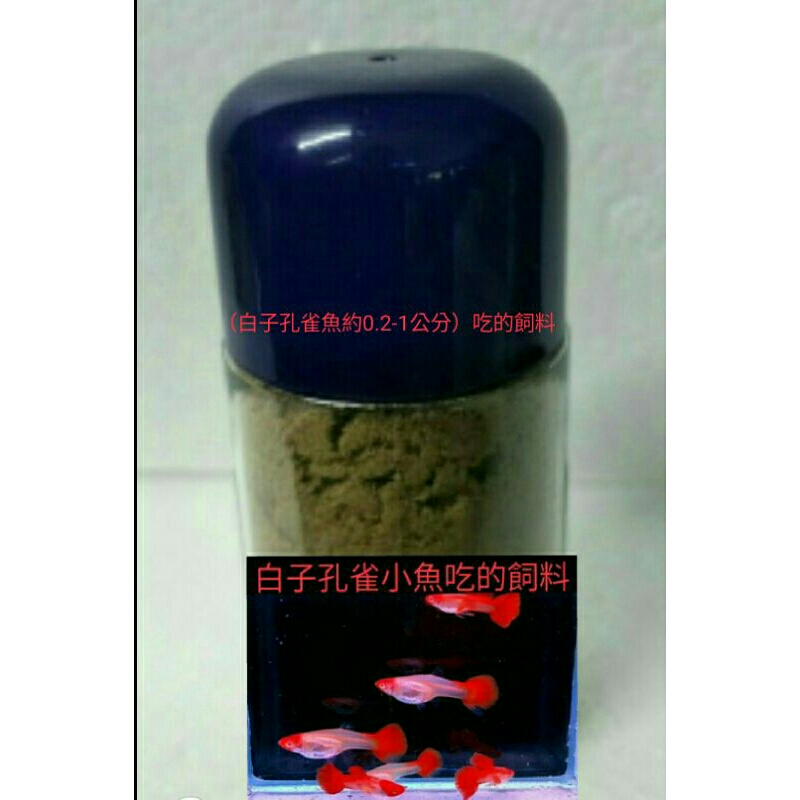 全紅/丹頂/天空藍/黃尾禮服約0.2~1公分的白子孔雀魚專用粉狀飼料