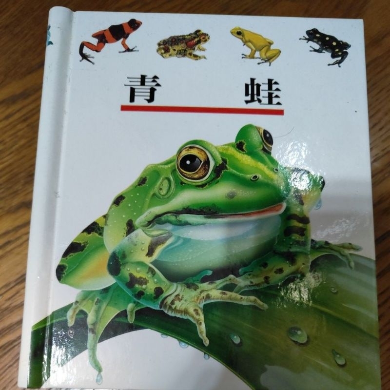 二手理科出版社第一個發現-青蛙