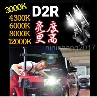 D2R 高亮版 氙氣燈泡 品質優 3000K 4300k 6000k 8000k 12000k