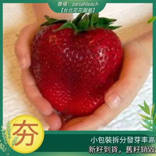 進口種子50顆巨人草莓，巨大的草莓種子/持久的多年生草莓【臺北花花園藝】