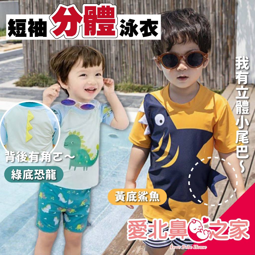 愛北鼻 台灣現貨 男童短袖 分體泳衣組 男童泳衣 兒童泳裝 男寶泳衣 鯊魚 恐龍