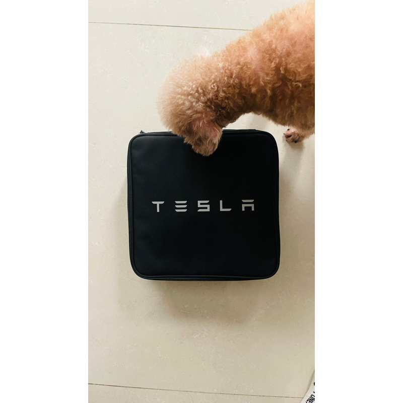 Tesla原廠旅行充電組，使用5次，用不到故出售