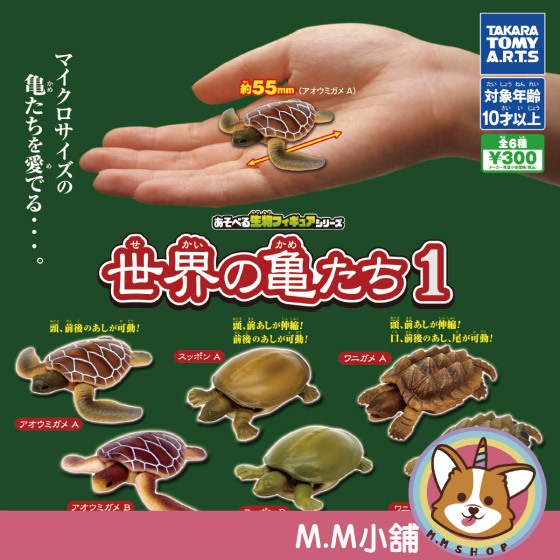 【M.M小舖】『現貨』 T-ARTS 轉蛋 扭蛋 超可動生物 世界上的烏龜 烏龜 模型 圖鑑 生物 全6款