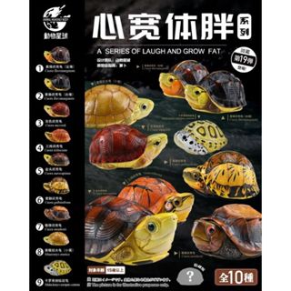 【MOVE】 (現貨) 動物星球 心寬體胖系列 第十九彈 國龜 vol.1 鑽紋龜 閉殼龜 動物模型 公仔 盒玩 盲盒