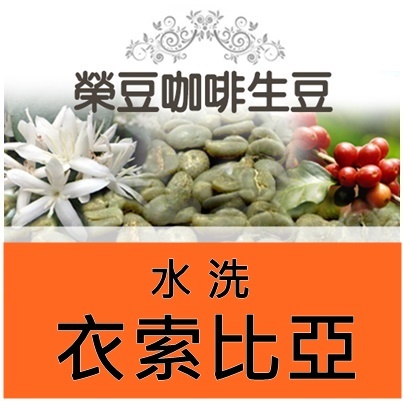 孔加合作社 耶加雪菲G1 水洗 衣索比亞 每包500公克【榮豆咖啡生豆】精品咖啡生豆 零售咖啡生豆