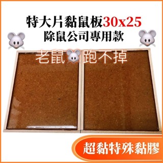 新生王子【黏鼠板】特大片30x25黏鼠板 有10片裝 滅鼠 捕鼠 捕鼠板 粘鼠板 除鼠公司專用型 捕鼠神器