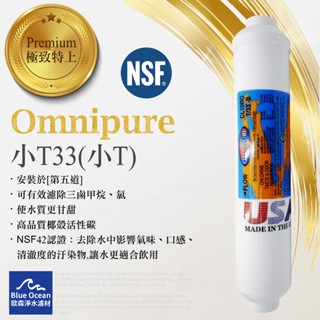 BlueOcean歐森】第五道/omnipure後置T33濾心/小T/椰殼顆粒活性碳/濾芯/NSF
