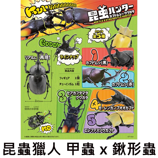 昆蟲獵人 甲蟲 x 鍬形蟲 盒玩 擺飾 昆蟲模型 昆蟲之王 F-toys