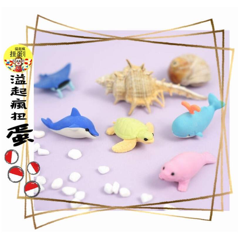 ♧溢起瘋扭蛋♧ 韓國 橡皮擦 海洋 動物 海龜 文具 造型 鯨魚 高雄 鹽埕