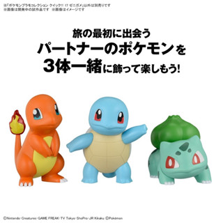 現貨正版 BANDAI 寶可夢 皮卡丘 傑米龜 小火龍 木木梟 妙蛙種子 胖丁 Pokemon 組裝模型 快組版