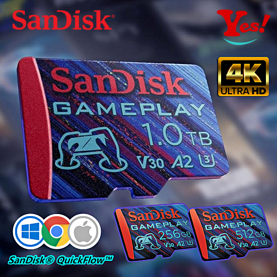 【Yes！公司貨】SanDisk GamePlay 3D/VR 256G 512GB 電競 電玩 microSD 記憶卡