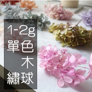 My Wonderful 單色繡球1~2克$28【木繡球／永生繡球／繡球花／不凋花繡球／漸變美甲繡球】