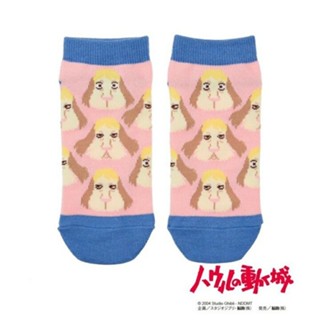 《綺趣雜貨》現貨 日本 因因狗 短襪 霍爾的移動城堡 因因 殷殷 襪子 吉卜力 日本代購 宮崎駿