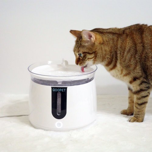【新品特價】Qoopet | 貓狗寵物智能飲水機-2L (Wi-Fi &amp; 無線水泵)