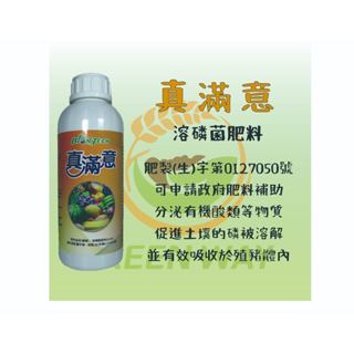 【現貨 發票】真滿意 枯草芽孢桿菌 溶磷菌Y1336 1L