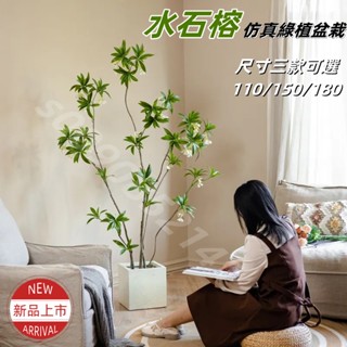 【限時特惠 免運含稅】掬涵水石榕模擬綠植大型室內仿生綠植假盆栽植物盆景客廳落地擺件