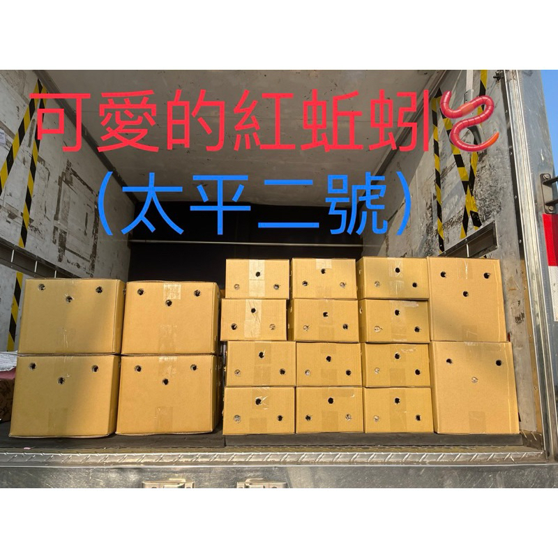 紅蚯蚓🪱 (一單最多2件)（太平二號） 5斤1200元免運！下單請先私訊聊聊