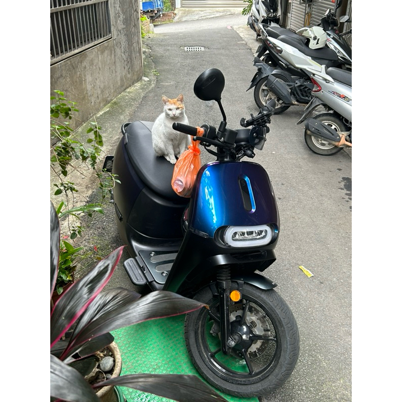 Gogoro supersport  原廠鋁合金前土除