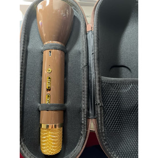 熊大 無限藍芽麥克風🎤 全新 Line Friends正版授權商品 天天在家好樂迪