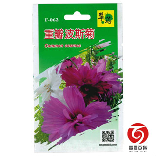 重瓣波斯菊 / 花卉種子 / 種子 / 雷霆百貨 / F062