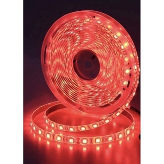 LED軟條燈5050 紅色光軟燈條LED紅色燈帶5050 LED紅光條燈一米60燈每個LED高亮度DC12V 5米出貨