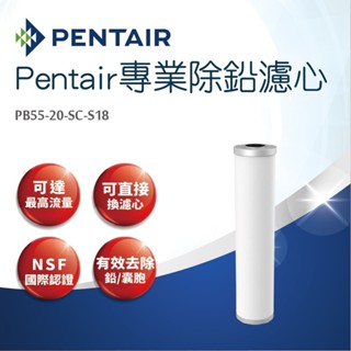 【PENTAIR 濱特爾】專業除鉛濾心PB55-20-SC-S18