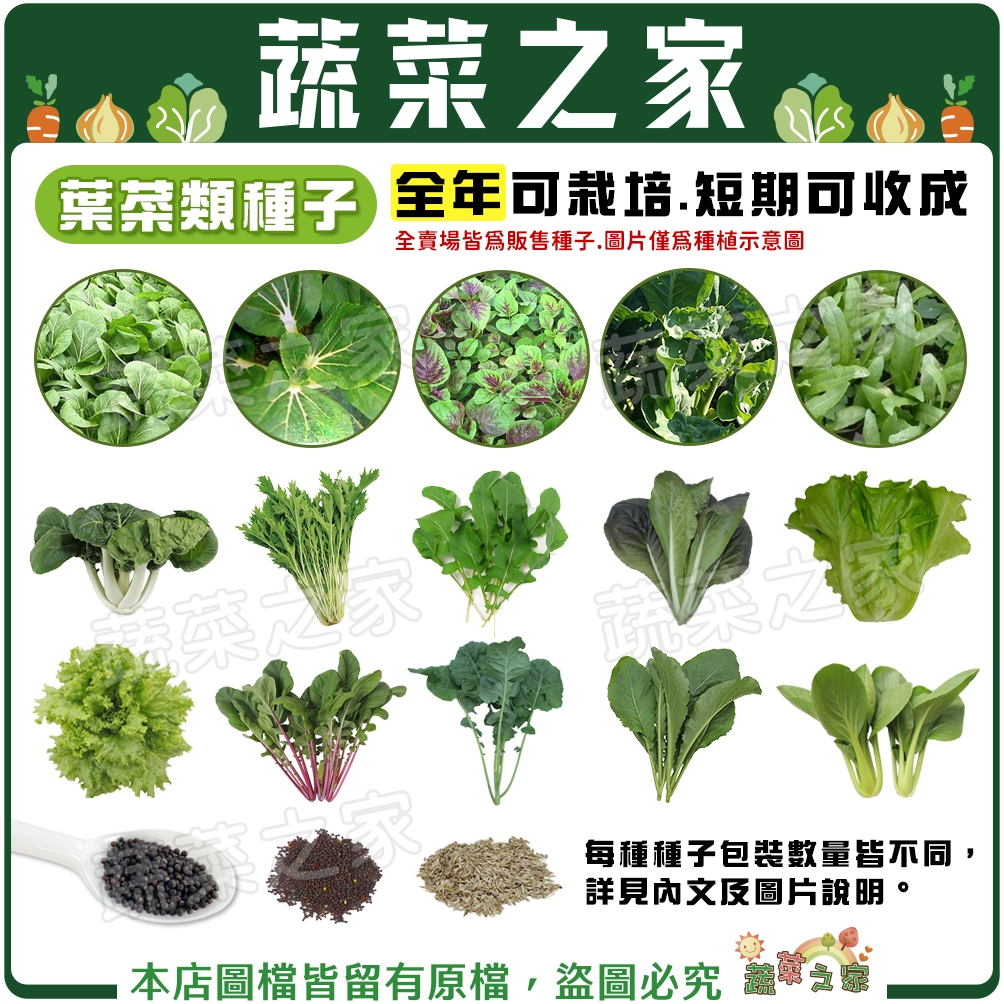 【蔬菜之家滿額免運】全年可栽培短期收成葉菜類種子系列(各種包裝數量詳見內文及圖片)青江菜 白菜 芥藍菜 空心菜 大陸妹