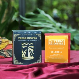 TRIBO COFFEE - 哥倫比亞 芒裡偷閒 芒果蜜處理│淺焙 (濾掛式咖啡 5入; 10入盒裝)