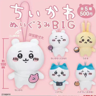 現貨 奇譚 日版《chiikawa吉伊卡哇》BIG 大尺寸 10公分 扭蛋 掛件 吊飾 自嘲熊 正版扭蛋