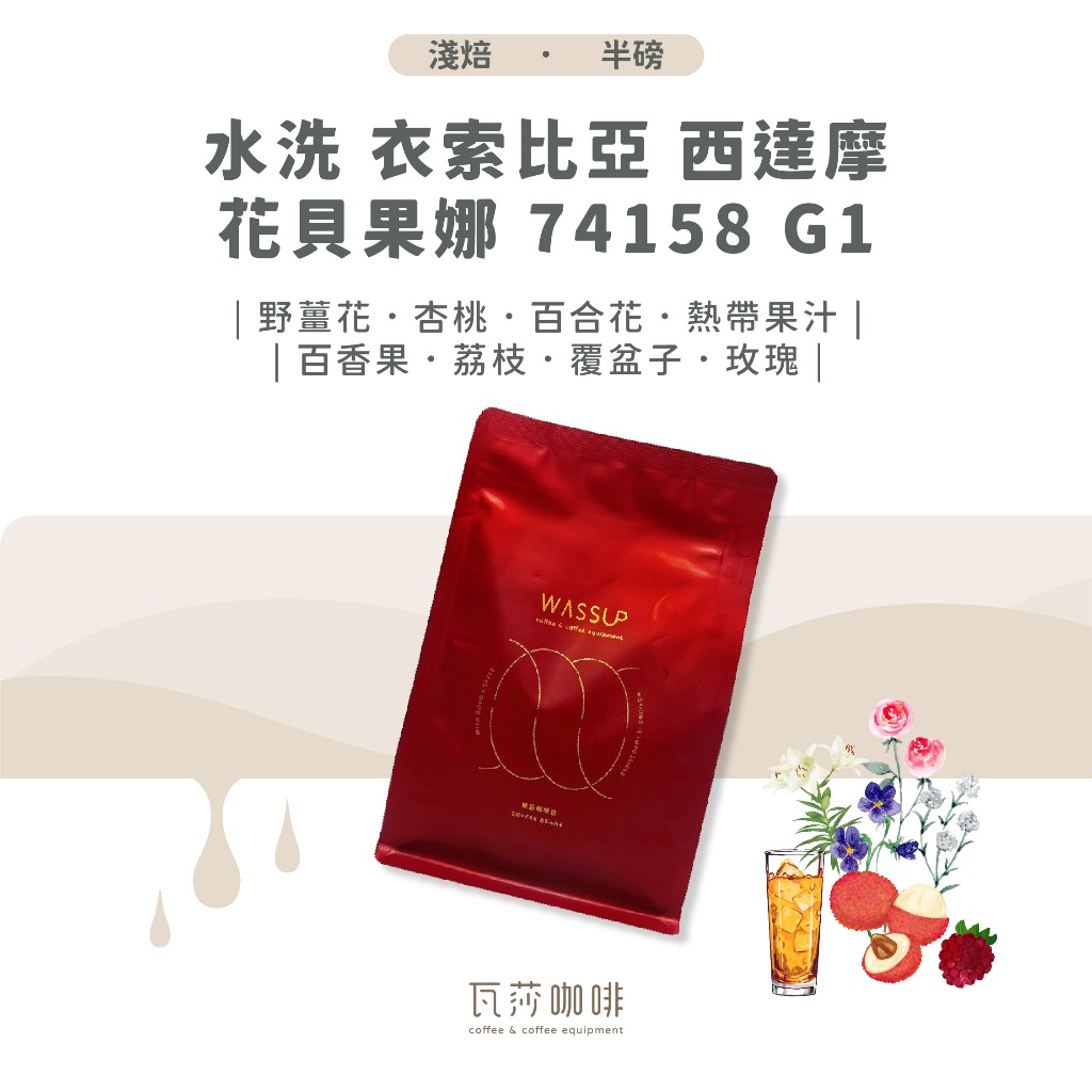 (現貨附發票) 水洗 衣索比亞 西達摩 花貝果娜 74158 G1 兩次手選挑豆 100%阿拉比卡精品咖啡豆