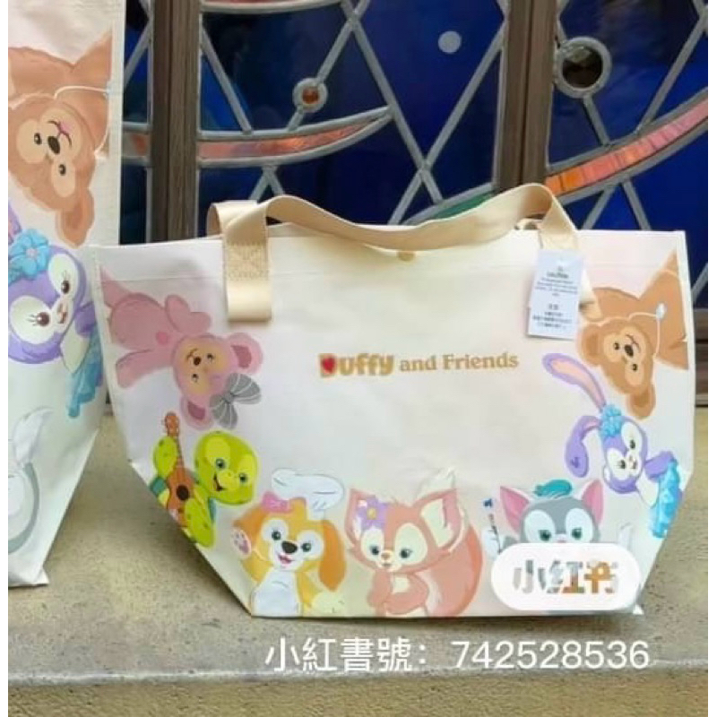 🇭🇰香港迪士尼代購🏰現貨 2024新款達菲購物袋（S號） 冰雪奇緣（M號）現貨各一