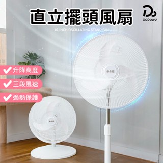 【小太陽 16吋二合一直立式擺頭風扇】電風扇 電扇 直立式風扇 擺頭扇 對流扇 循環扇 桌扇 風扇 TF-1899