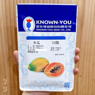城禾農產🍃 日陞木瓜種子 指定外銷日本品種🔥 農友日陞木瓜種子 木瓜種子 日陞木瓜種子 日陞種子 農友日陞木瓜種子
