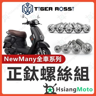 【翔好機車】New Many 螺絲 銀色 鈦螺絲 鈦合金螺絲 鐵板牙 車殼螺絲 空濾螺絲 new many 125 改裝