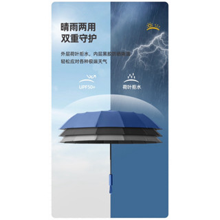 自動傘、雨傘、傘、伸縮傘、陽傘UV