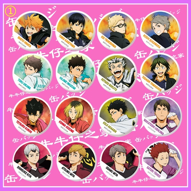 排球 少年 胸章 徽章 日向翔陽 月島螢 及川徹 孤爪研磨 木兔光太郎 赤葦京治 宮侑 宮治 北信介 牛島若利 天童覺