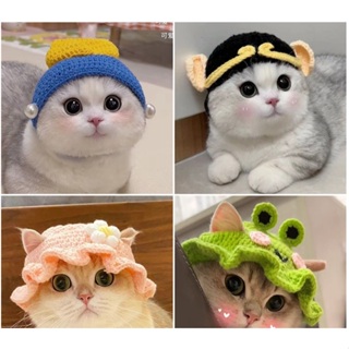 🇹🇼*瑪麗迷小舖Merry Me*現貨*🐶寵物貓針織頭帽