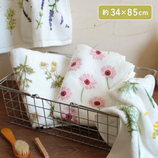 現貨 日本製 Herbs station series 無撚系毛巾 長毛巾 純棉 日本製毛巾 方巾 日本毛巾 洗臉巾
