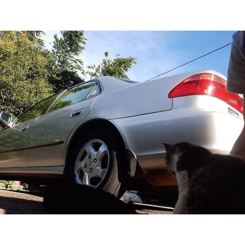 🐈‍⬛【貓老闆認證】 一台難得的好車❗ 1998年 HONDA 雅哥6代/K9