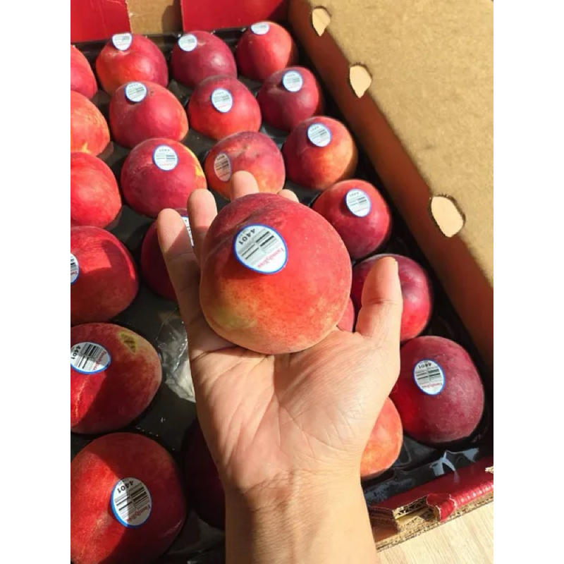 【仙菓園 現貨】🇺🇸美國加州空運水蜜桃🍑單顆約200g✈️六入禮盒裝 原裝箱販售