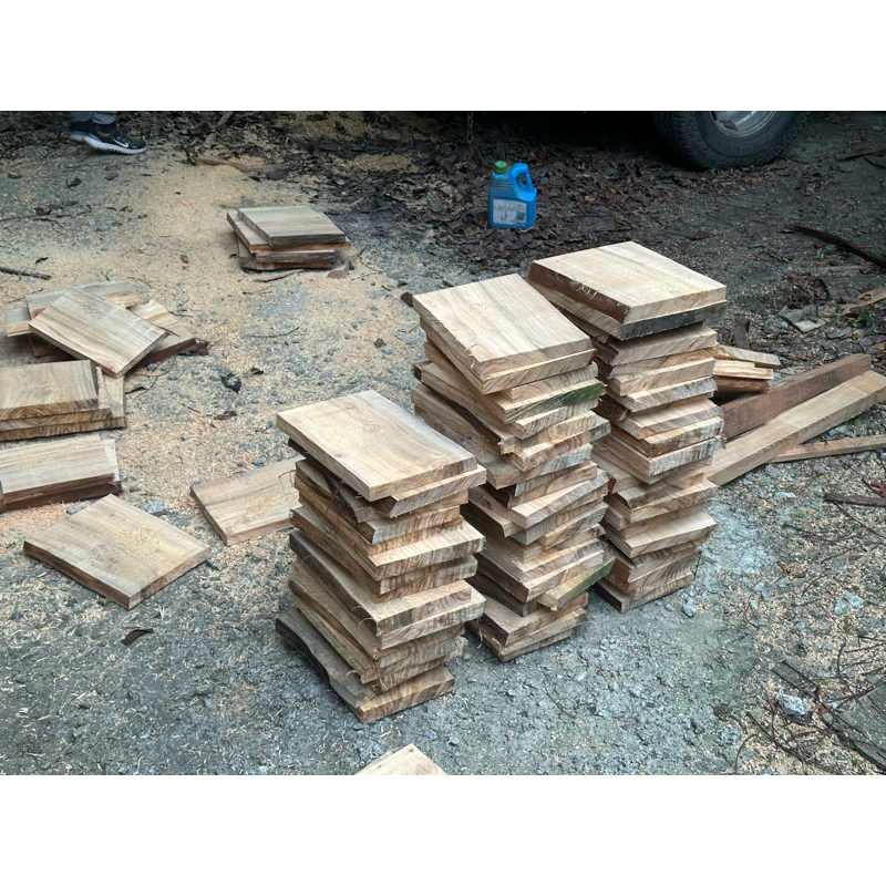 椿印 鹿角蕨板材 實木板材 美檜