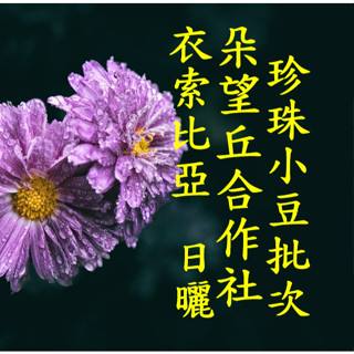 (2023最後數量) 獵豆工坊🐆衣索比亞 希達馬 阿貝果納 朵望丘合作社 珍珠小豆日曬處理 G1 咖啡生豆 500g