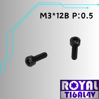 【瘋螺絲】ROYAL 鈦合金螺絲★ M3*12B P:0.5 錐形螺絲★64鈦/正鈦/鈦合金螺絲★出貨附發票★帝王黑