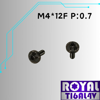 【瘋螺絲】ROYAL 鈦合金螺絲★ M4*12F 飛碟頭螺絲★64鈦/正鈦/鈦合金螺絲★出貨附發票★帝王黑
