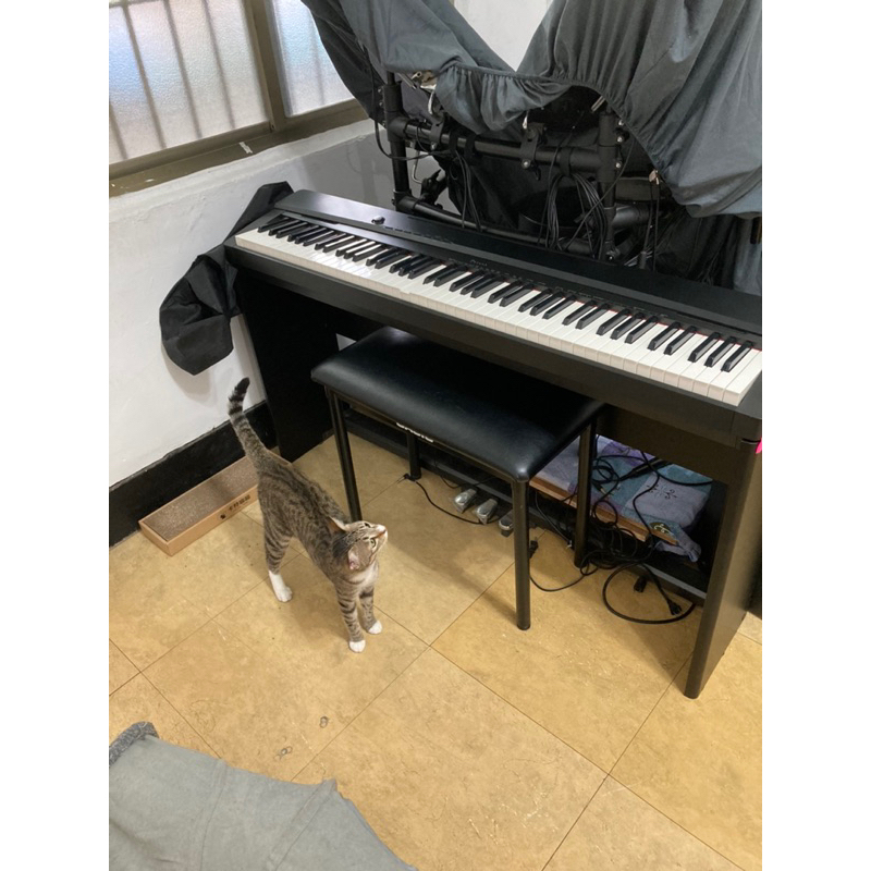 二手電鋼琴Casio PX-135