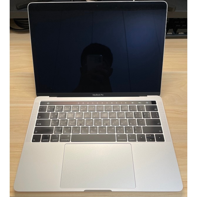 Apple MacBook Pro 2019 銀色 型號A2159  Intel i5  8GB  256GB自售狀態佳