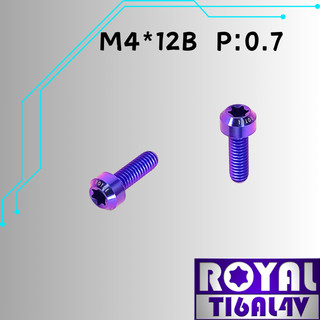 【瘋螺絲】ROYAL 鈦合金螺絲★ M4*12B P:0.7 錐形螺絲★ 64鈦/正鈦/鈦合金螺絲★出貨附發票★幻彩藍