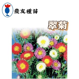 翠菊 翠菊種子 【農友種苗】 花卉原包裝種子 約80粒/包 新鮮種子