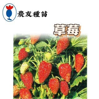 草莓 草莓種子【農友種苗】 蔬果種子 原包裝種子 約80粒/包 新鮮種子
