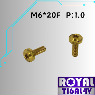 【瘋螺絲】ROYAL 鈦合金螺絲★ M6*20F P:1.0 飛碟頭螺絲★64鈦/正鈦/鈦合金螺絲★出貨附發票 ★土豪金